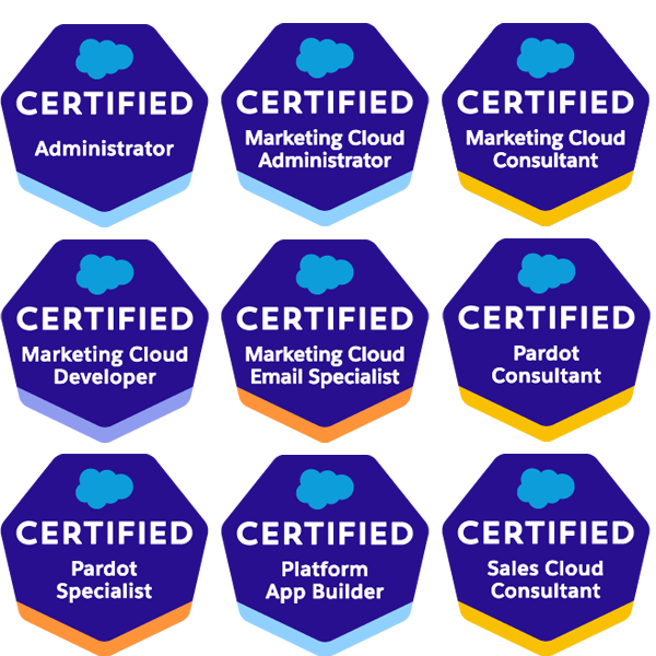 Why Choose AnavClouds Salesforce Experts