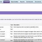 salesforce mass email