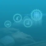 Industry-Focused Customization