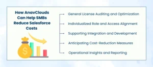 Reduce Salesforce Costs