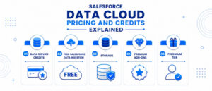 Salesforce Data Cloud pricing and credits explained — data service credits, free data ingestion, storage, premium add-ons, and freemium tier